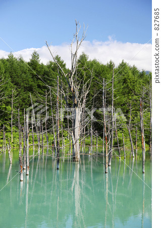 blue river, biei river, kamikawa district 827685