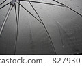 傘 827930