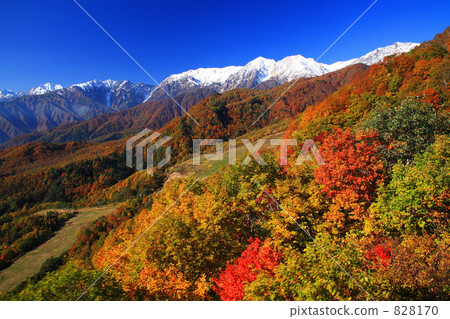 Autumn leaves and Alps from Tsugaike gondola lift 828170