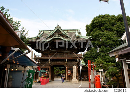 Shibamata Satoru Tominagi 828611
