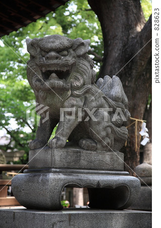 Miyuki Mori Temple Shinto shrine of the Shrine Miyuki Mori Temple Shinto shrine of the Shrine 828623