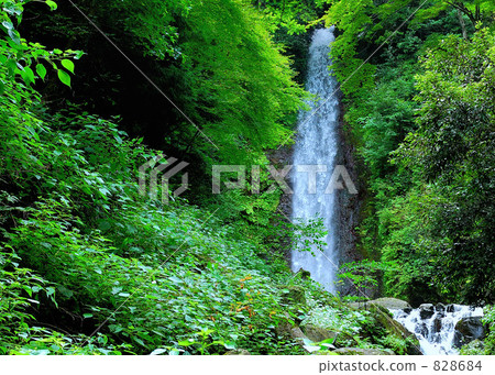 yoro falls, fall, water fall 828684