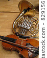 小提琴和號角 829156
