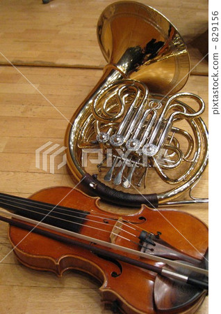 Violin and horn 829156