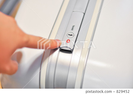 Travel bag suitcase 829452