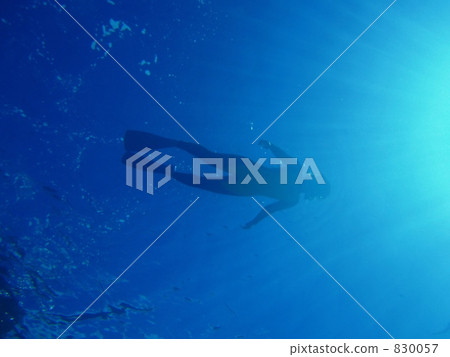 snorkeling, person, in the sea 830057