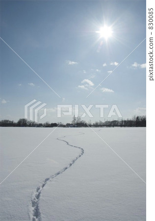 footmark, fallen snow, frozen field 830085