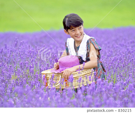 Girls in lavender 830215