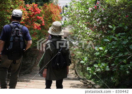 couple, husband and wife, married couple 830442