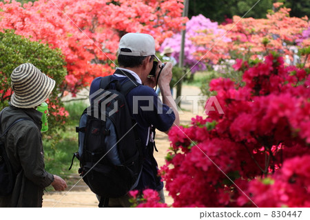 person, female, females 830447