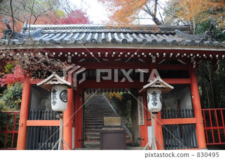 konzoji temple, temple gate, kyoto 830495