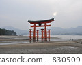 日本Sankei嚴島神社Otorii 830509