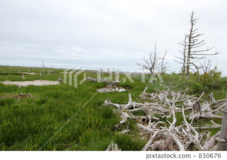 Nodoken Peninsula Todoara 830676