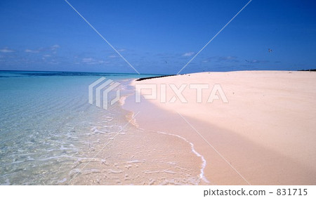 Great Barrier Reef  831715