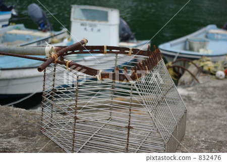 Mackerel 832476