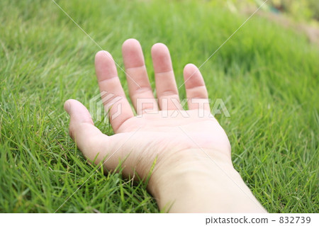 掌握太陽 掌握太陽 832739