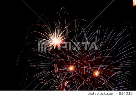 夢煙花昭島市民鯨魚節 834039