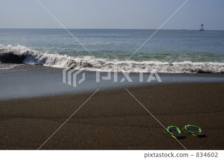 夾趾拖鞋 沙灘涼鞋 沙灘 834602