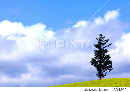 夏日的天空 夏日的天空 834863