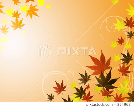 Maple  834968