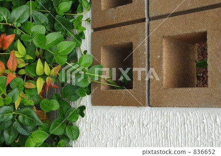 fence, green, exterior 836652