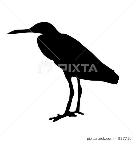 Silhouette _ Seabird 837710