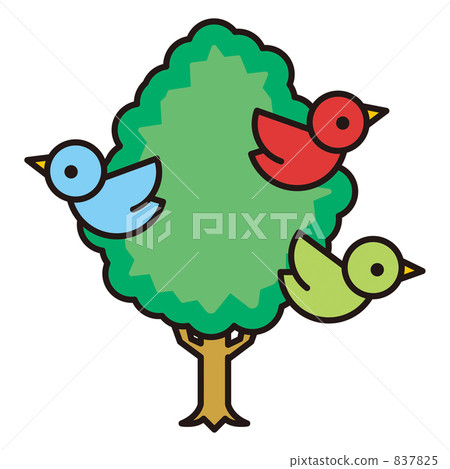 small bird, tree, bard 837825