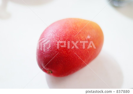 Apple Mango 837880