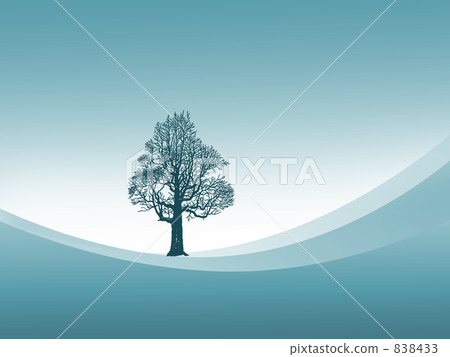 一棵樹 838433