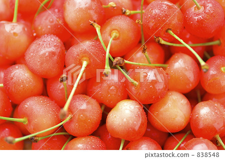 Cherries (Nishiki Sato) Cherries (Nishiki Sato) 838548