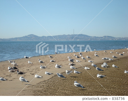 沙灘 海岸 海濱 838736