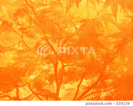 秋葉盛開 秋葉盛開 839139