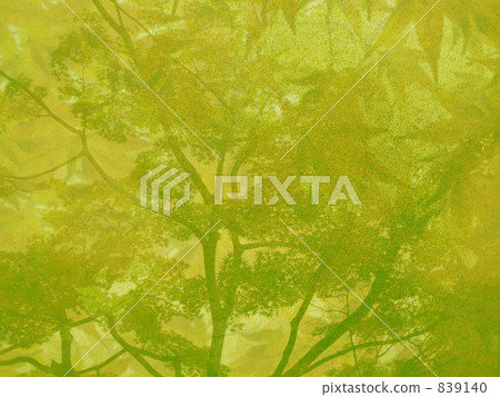 新鮮的綠色秋葉 839140