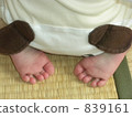 feet, paw, butt 839161