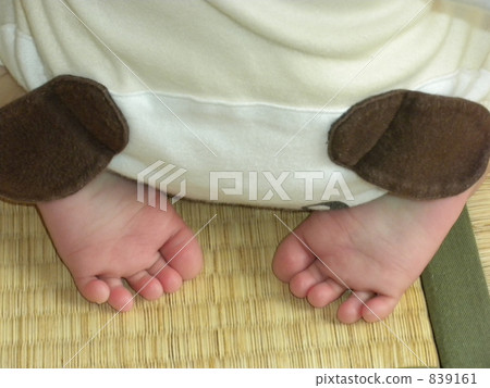 腳 英尺 爪子 839161