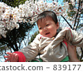 First time cherry 839177