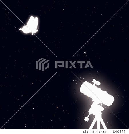星蝴蝶 星蝴蝶 840551