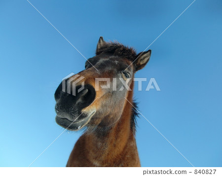 寧靜的 平靜 透明 840827