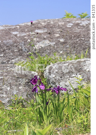 Iryo在峰會上 Iryo在峰會上 841335