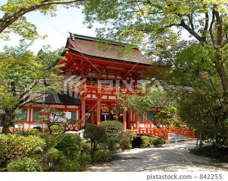 kamigamo shrine, sakura gate, sakuramon 842255