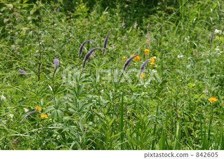 Otome Takahara 020 Otome Takahara 020 842605