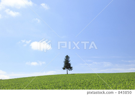 hill, earth, blue sky 843850