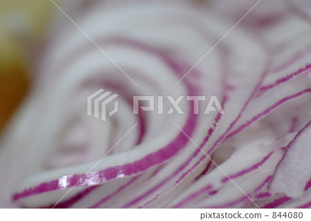 紫洋蔥 844080