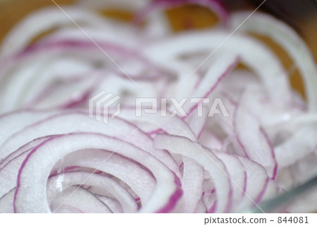 Purple onion 844081