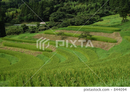 Rice terraces 844094