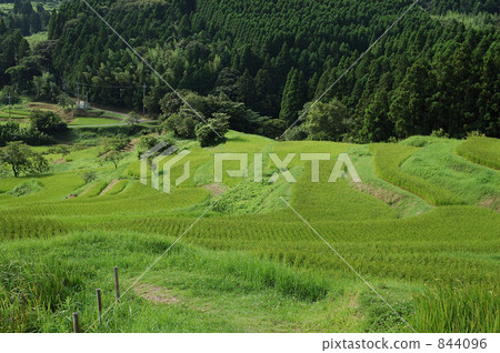 水稻梯田 844096