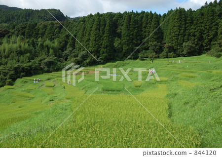 在鴨川的Oyama 1,000個貨架 844120