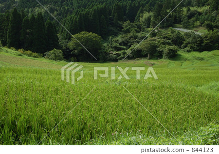 在鴨川的Oyama 1,000個貨架 844123