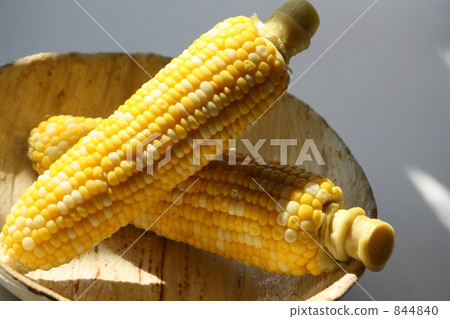 玉米 玉米 844840