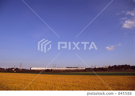 rail, railroads, rails 845588